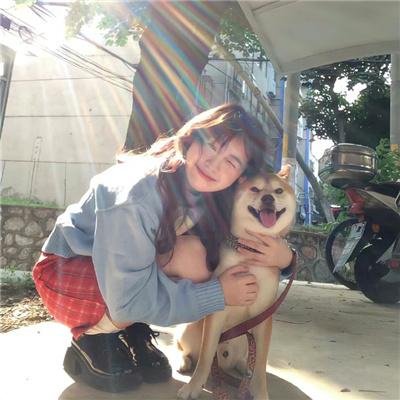 星星守护犬